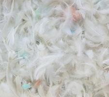 Mezcla de pluma de ave y picado de espuma